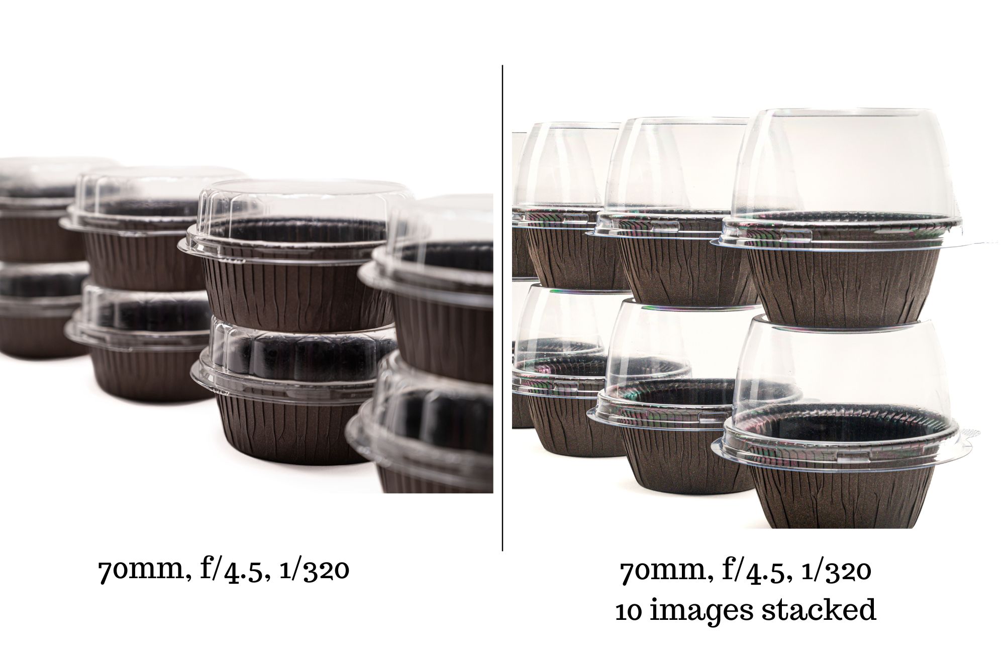 Examples of Focus Stacking. One image with a single clear focal point, the other fully in focus.